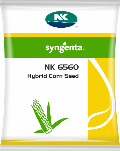 NK 6560 Packsot